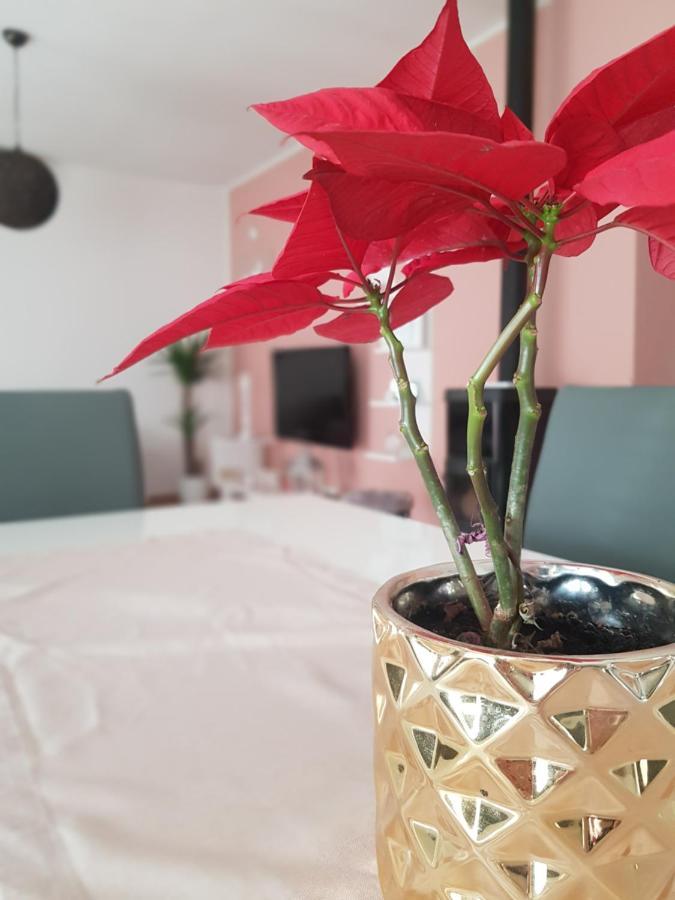 Apartmani Milutin Brodarica  Extérieur photo